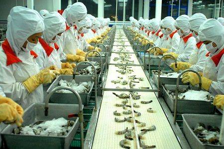 Official seafood export process through Alibaba