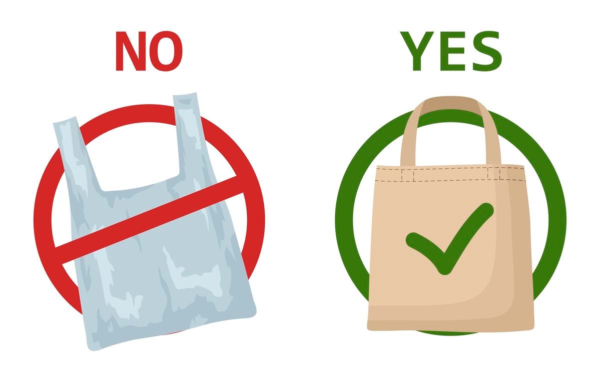 Compostable packaging: European ESG – Golden opportunity for Vietnamese SMEs