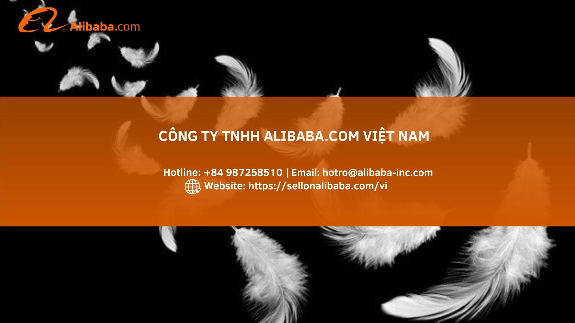 B2B平台出口羽毛订单突破