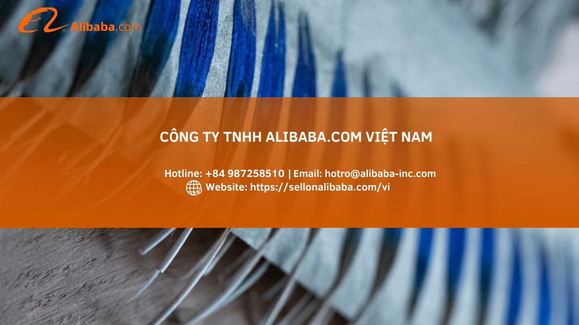 How to find global feather wholesalers on Alibaba.com