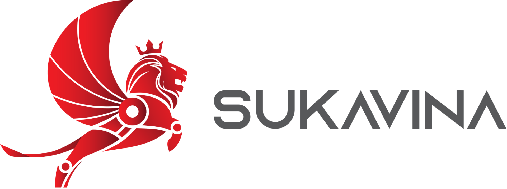 Hành trình của Sukavina cùng Alibaba Việt Nam