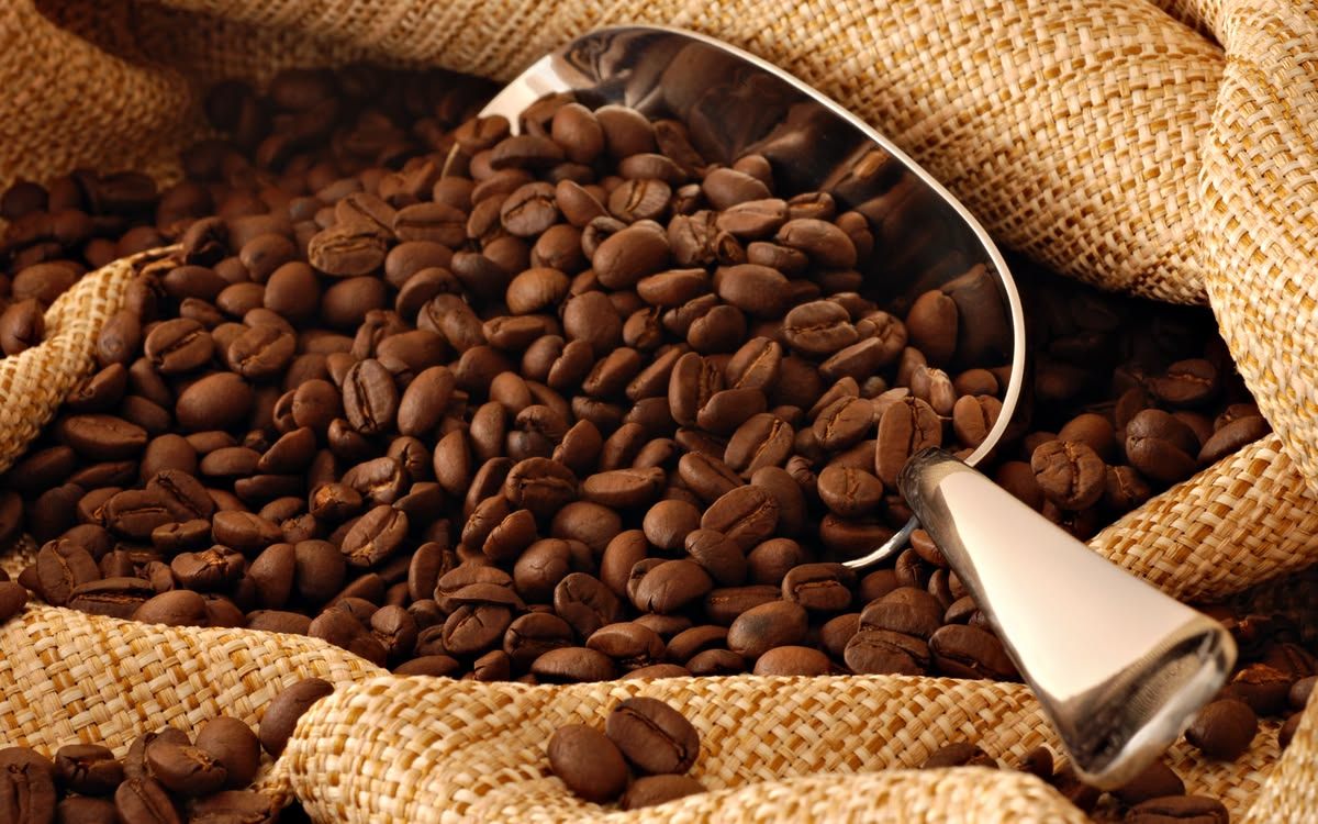 Warning about deposit fraud traps when exporting cashew nuts and coffee