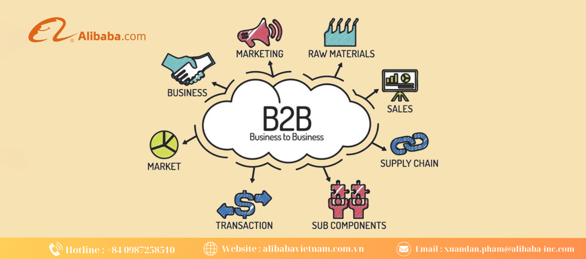 深入理解阿里巴巴B2B模式：通过阿里巴巴越南开店及出口说明