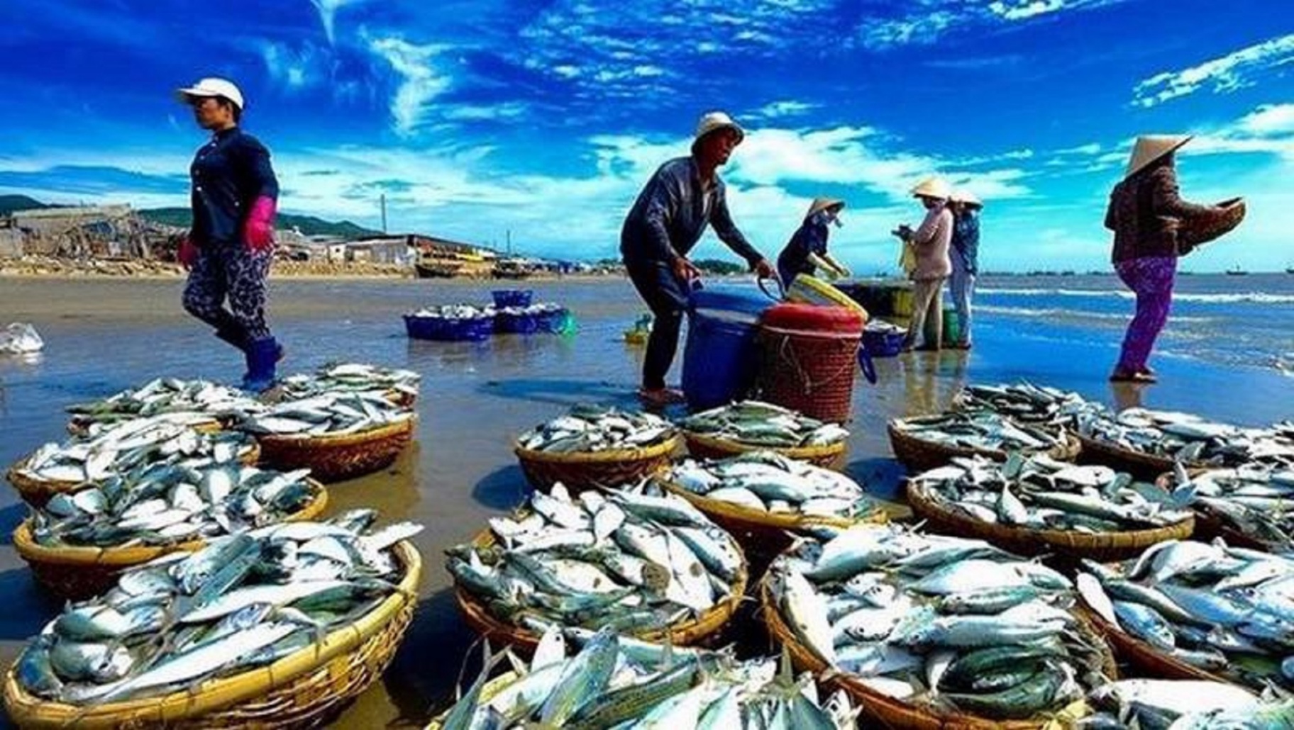 Potential for exporting Vietnamese seafood on Alibaba