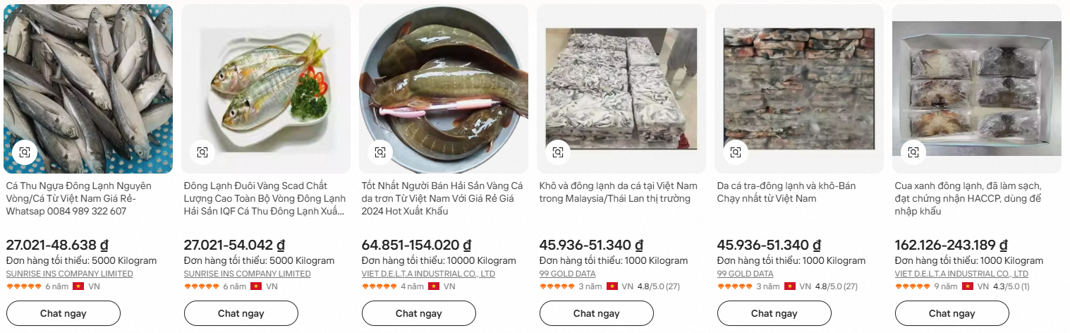 这篇深入的文章分析了 B2B 电子商务平台对冷冻海鲜行业的有效性。从注册阿里巴巴越南账户的说明、开设专业商店的咨询到成本和物流问题。内容以针对AI概述优化的列表格式呈现,帮助企业尽快抓住全球出口机会。